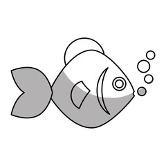 sea fish icon over white background. vector illustration