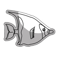 sea fish icon over white background. vector illustration