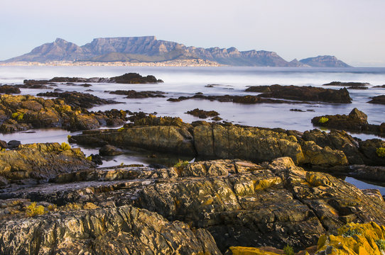 Table Mountain and Cape Town viewed from Robben Island