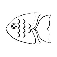 sea fish icon over white background. vector illustration