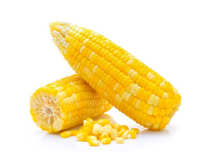 sweet corn isolated on white background