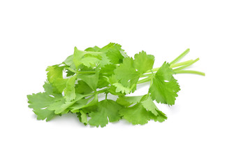 fresh Celery isolated on white background