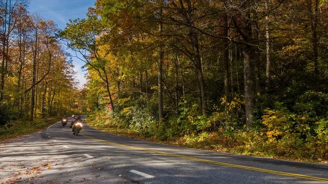 Three Motorcycles Riding on a Scenic Highway in the Blue Ridge Mountains with a Beautiful Fall Color Tree Canopy and a Blue Sky in the Morning near Asheville, North Carolina