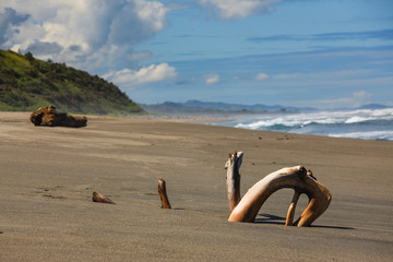 Beach on Fiji - Viti Levu - Oceania