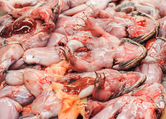 Bullfrogs (Hoplobatrachus rugulosus) chop for cooking a food sale in market. Bangkok, Thailand