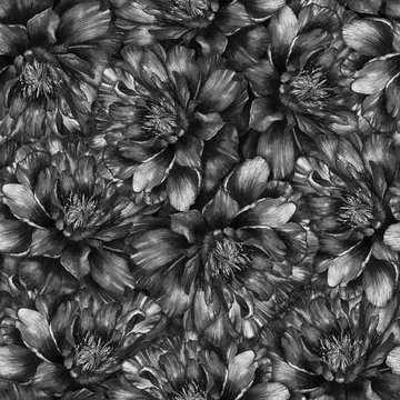 Fototapeta Seamless watercolor pattern with black and white peonies. Hand drawn monochrome watercolor illustration. Design for fabric, textile, wrapping paper, card, invitation, wallpaper, web design.