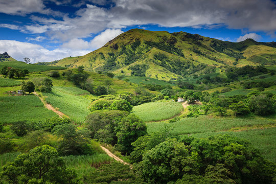 Fiji - Viti Levu - Oceania