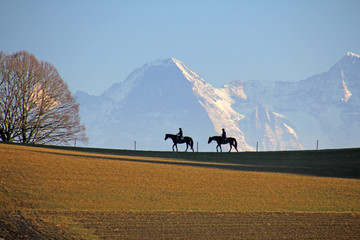 Reiter, Längenberg, Alpen, Schweiz 