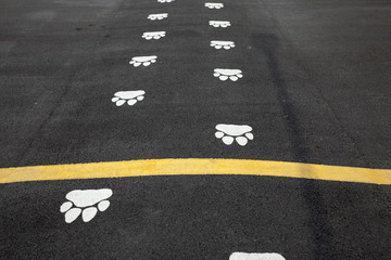 dog sign	