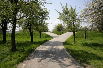 Elberadweg an der Kreuzung