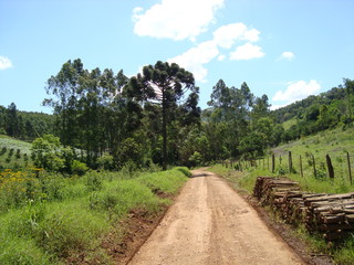 Natureza - Paisagens Naturais