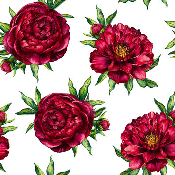 Watercolor pattern peony. Red peony pattern. Flower peony background. Floral pattern peony. Watercolor peony. Design for mothers day, womens day, wedding, save the date, card, holiday, summer design