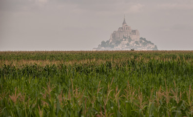 Mont Saint Michel from afar