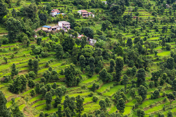 Rice terraces in Pohkara valley, Nepal.