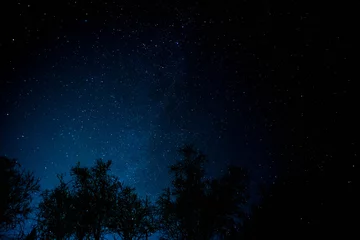  Stars night scaping. © lalala34