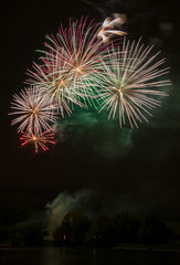 Appealing colorful fireworks and salute of various colors in the