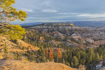 Bryce Canyon National Park View