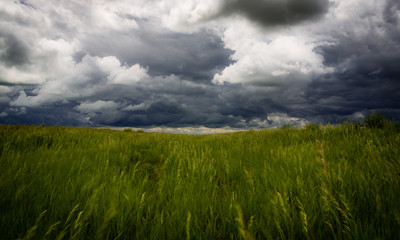 "Dakota Skies"  A storm is on the horizon in North Dakota.  The eerie sounds, wind and sky create this surreal scene.