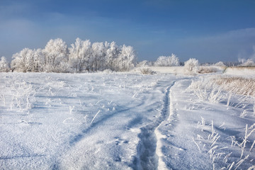 Снежная песня зимы Snowy winter song