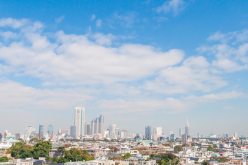 Fototapeta na wymiar TOKYO Landscape 