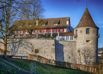 Fototapeta na wymiar Schloss Laufen am Rheinfall bei Schaffhausen