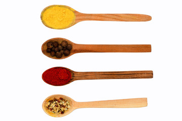 spicy fragrant spices in spoons