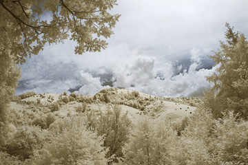 Infrared landscape and details