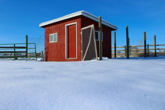 Rural Chicken Coop on a Farm in the Snow