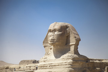 Fototapeta na wymiar The Great Sphinx in Giza, Egypt