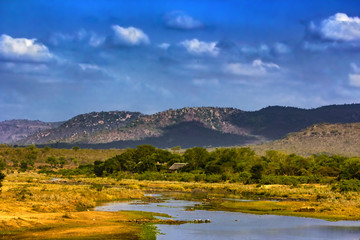 Fototapeta premium Republic of South Africa - Mpumalanga province. The Crocodile River (Krokodilrivier in Afrikaans) near Malelane Gate, Kruger National Park