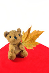 Little Plush bear holding a maple leaf on a white and red background - portrait