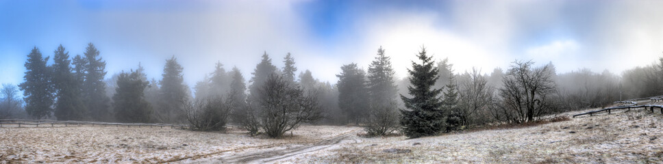 Großer Feldberg, Taunus