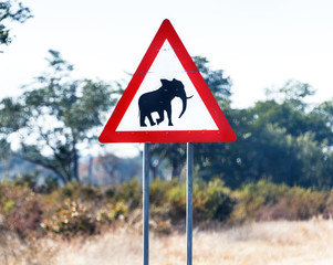 A road sign warns of the danger of collision with an elephant on the road - Namibia