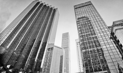 Buildings, Fifth Avenue, New York 