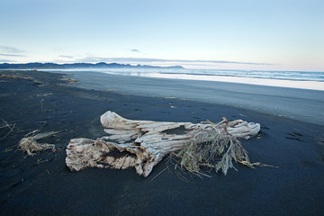 Kawhia beach, New Zealand
