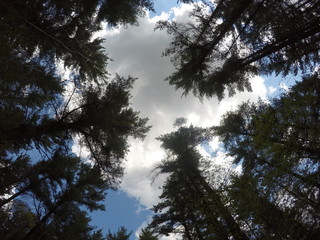 DCIM\100GOPRO\GOPR8217.