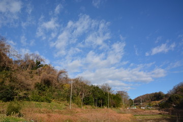 Fototapeta premium 冬の青空と白い雲/神奈川県大磯町