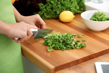 Closeup of woman hands cooking vegetables salad in kitchen. Healthy meal and vegetarian concept.