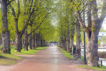 Fototapeta premium Alley in the park in Lappeenranta.