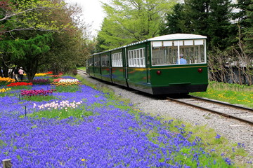 Sapporo train and flower park
