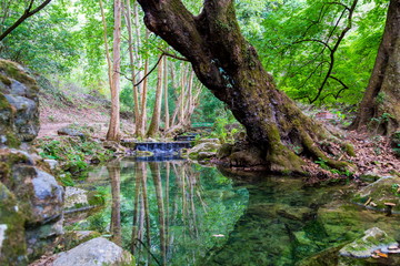 Fototapeta premium Aquamarine Waterfall Sierra Gorda Mexico. El Chuveje is one of the largest waterfalls in Queretaro. It's thirty meters high and surrounded by mountains, vegetation and a stunning landscape.