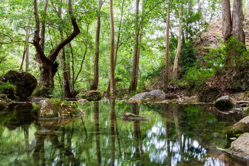 Aquamarine Waterfall Sierra Gorda Mexico. El Chuveje is one of the largest waterfalls in Queretaro. It's thirty meters high and surrounded by mountains, vegetation and a stunning landscape.