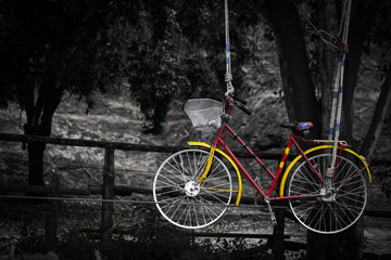 Fototapeta premium Bicycles on the ropes Retro vintage yellow red on nature,Color in black and white, Old charming bicycle