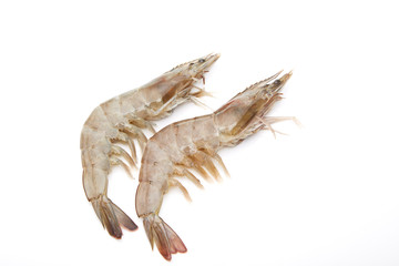 Fresh shrimp