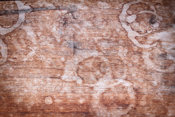 Wood texture, wood background with water stains for design with copy space for text or image. Wood motifs that occurs natural.