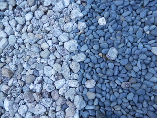 白黒小石(左右)