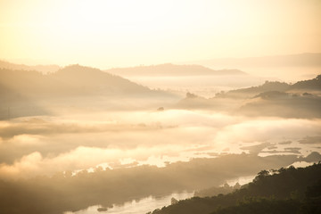 Gold foggy on sunrise background.