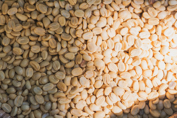 Coffee beans dried in the sun before roast