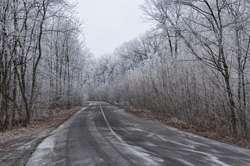 Fototapeta na wymiar The road through the winter woods
