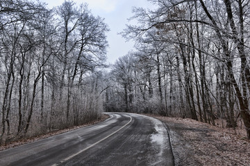 Obraz premium The road through the winter woods